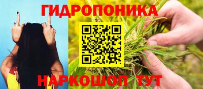 a pvp Моздок