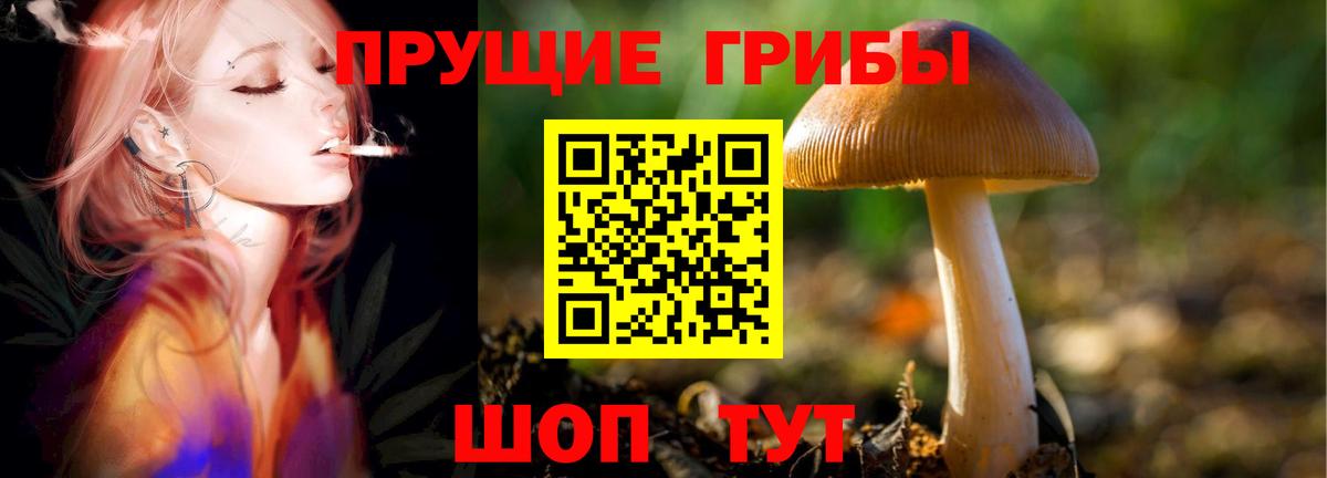 Псилоцибиновые грибы ЛСД Воскресенск